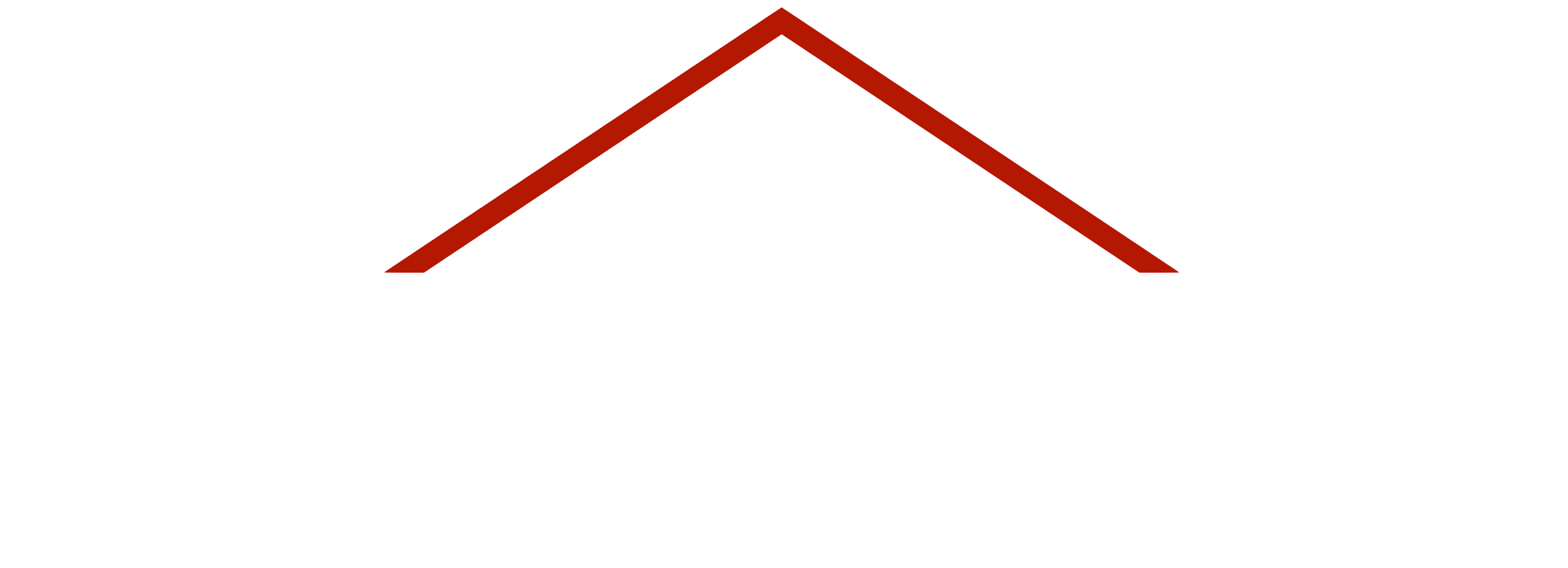 Company Name